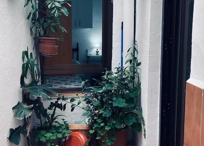 Vallaindiano コルドバ