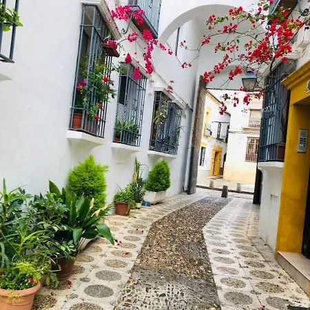 Vallaindiano Apartman *